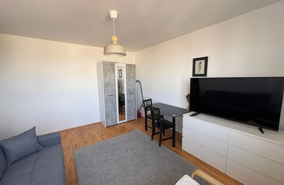 Alquiler de apartamento acogedor de 33 m² en el centro de la ciudad, Belgrado