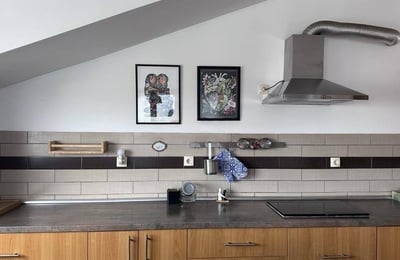 Spacious and cozy 85 m² apartment for rent in Vračar, Belgrade, Serbia