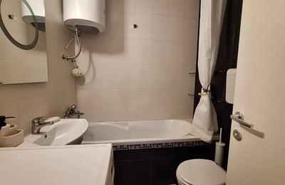 Möblierte 51 m² Wohnung zur Miete in Voždovac, Belgrad, Serbien