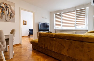 Bright 45 m² apartment for rent in Vračar, Belgrade, Serbia