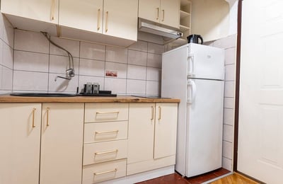 Bright 45 m² apartment for rent in Vračar, Belgrade, Serbia