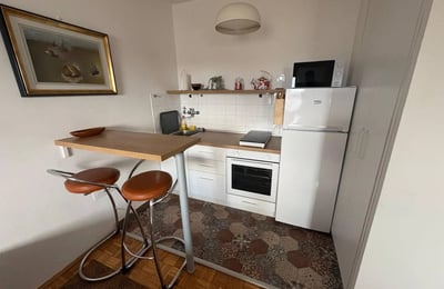 Bright 33 m² apartment for rent in the city center, Belgrade, Serbia