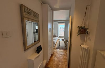Bright 33 m² apartment for rent in the city center, Belgrade, Serbia