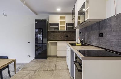 Аренда просторного дома 360 м² на набережной Дуная, Белград, Сербия