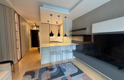 Alquiler de compacto apartamento tipo estudio de 35 m² en Vračar, Belgrado, Serbia
