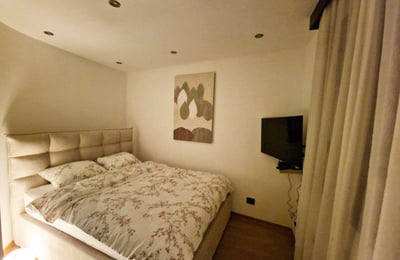 Location d'appartement moderne de 50 m² dans un immeuble récent avec vue sur le parc, district de Vračar, Belgrade, Serbie