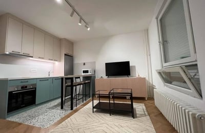Location de studio lumineux de 30 m², Zvezdara, Belgrade, Serbie