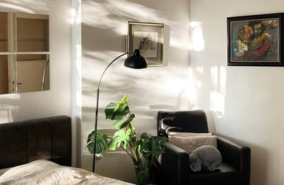 Gemütliches 2-Zimmer-Apartment 50 m² in Vračar, Belgrad, Serbien