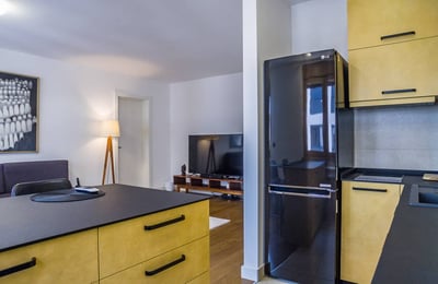 Zu vermieten: Möbliertes Apartment 40 m², Stadtteil Vračar, Belgrad, Serbien