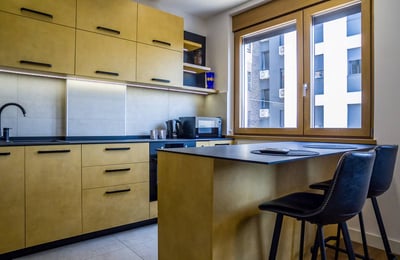 Zu vermieten: Möbliertes Apartment 40 m², Stadtteil Vračar, Belgrad, Serbien