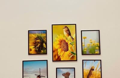 Аренда просторной, меблированной квартиры, Нгу Хань Сон, Дананг, Вьетнам