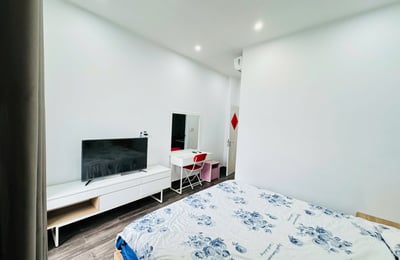 Rent of a bright, furnished house, Hai Chau, Da Nang, Vietnam