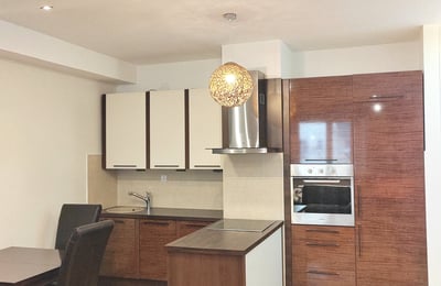 Alquiler de apartamento acogedor, 50 m², Belgrado, Serbia