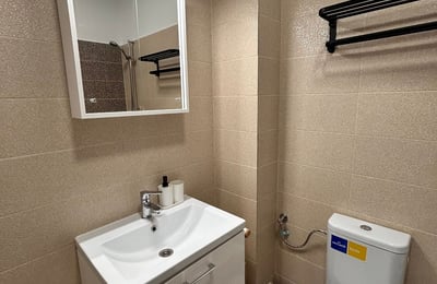 Rent of a cozy 1-room apartment, 40 m², Chiajna, Sector 6, Bucharest, Romania