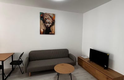 New Cozy Apartment for Rent, Bucharest, Romania
