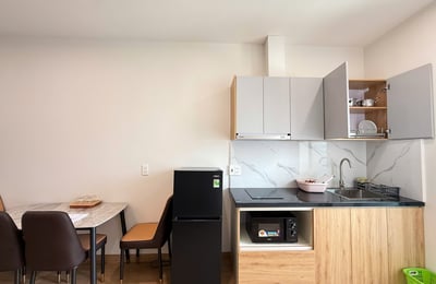 Rental of a spacious, comfortable apartment, 1 bedroom, Da Nang, Vietnam