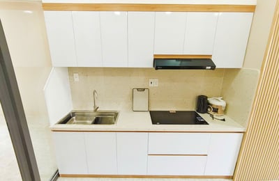 Rental of a spacious, comfortable apartment, Da Nang, Vietnam