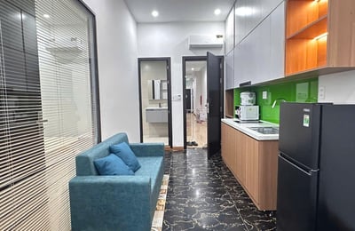 Furnished apartment for rent, pets allowed, Da Nang, Vietnam