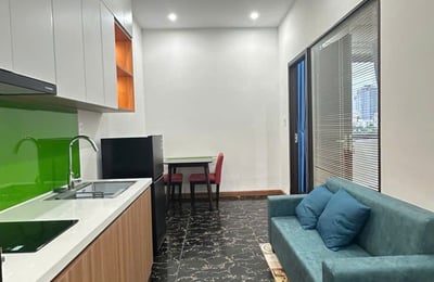 Furnished apartment for rent, pets allowed, Da Nang, Vietnam