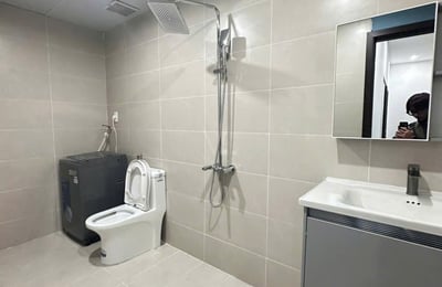 Furnished apartment for rent, pets allowed, Da Nang, Vietnam