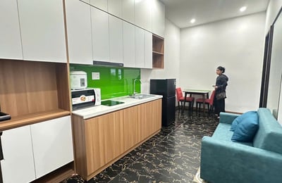 Furnished apartment for rent, pets allowed, Da Nang, Vietnam