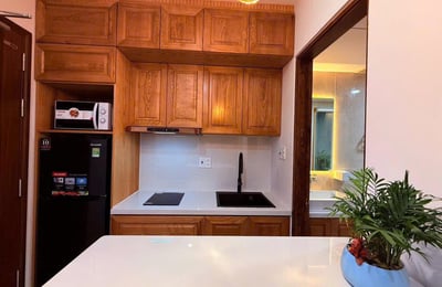 Rent a modern, comfortable apartment near the beach, Son Tra, Da Nang, Vietnam