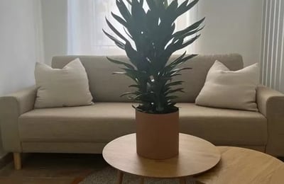 Location longue durée d’un appartement de 2 pièces à Košice, quartier Staré Mesto, Slovaquie