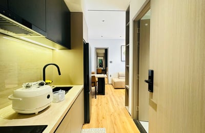 Luxuriöse Wohnung mit Haustiererlaubnis im Stadtteil Hai Chau zu vermieten, Da Nang, Vietnam