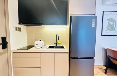 Luxuriöse Wohnung mit Haustiererlaubnis im Stadtteil Hai Chau zu vermieten, Da Nang, Vietnam