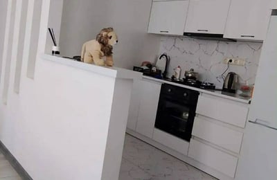 Helle Wohnung 45m² zur Miete, Batumi, Georgien