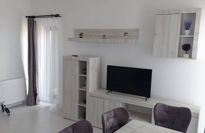 Location d’un appartement meublé de 2 pièces, Bucarest, Secteur 6, Roumanie