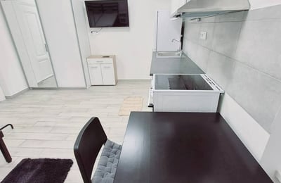 Furnished studio apartment for rent, 24 m², Stare Mesto, Bratislava, Slovakia