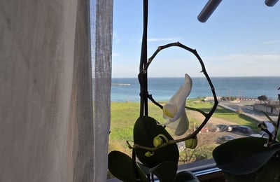 Rent of comfortable 4-room apartments, 115 m², with a sea view, Faleza Nord, Constanța, Romania