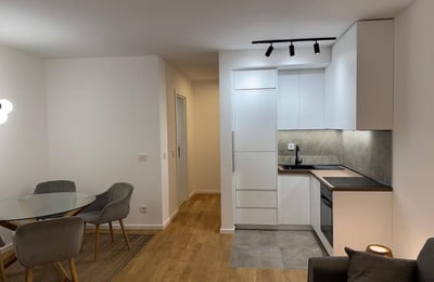 Аренда комфортной 2-комнатной квартиры, 45 m², недалеко от центра, Белград, Сербия