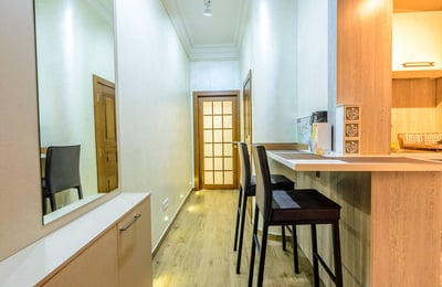 Rent of a furnished 2-room apartment, 30 m², Belgrade city center, Serbia