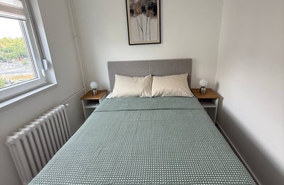 Miete einer komplett neuen 2-Zimmer-Wohnung, 50 m², Neu-Belgrad, Serbien