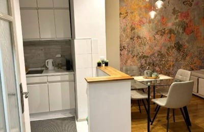 Alquiler de un cómodo apartamento de 2 habitaciones, 45 m², centro de Belgrado, Serbia