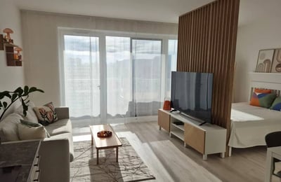Оренда мебльованої квартири, 44 м², Нове Место, Братислава, Словаччина