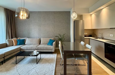 Rent of a comfortable, furnished 2-room apartment, 58 m², BW Terra, Belgrade, Serbia