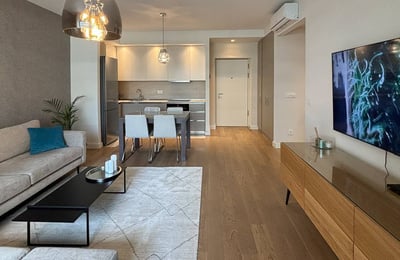 Rent of a comfortable, furnished 2-room apartment, 58 m², BW Terra, Belgrade, Serbia