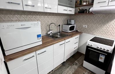 Аренда уютной, меблированной 2-комнатной квартиры, 45 м², центр Белграда, Сербия