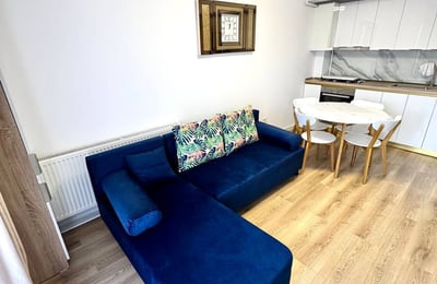 Location d’un appartement spacieux et meublé, 42 m², Secteur 6, Bucarest, Roumanie