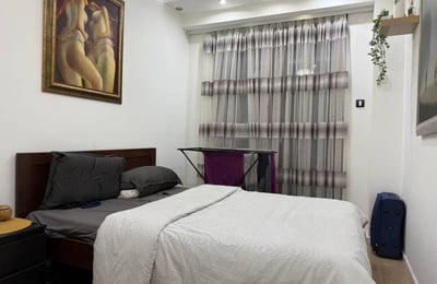 Alquiler de un apartamento cómodo de dos habitaciones de 45 m² en el centro de la ciudad, Belgrado, Serbia