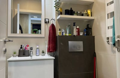 Alquiler de un apartamento cómodo de dos habitaciones de 45 m² en el centro de la ciudad, Belgrado, Serbia