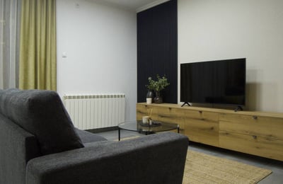 Miete einer gemütlichen 1-Zimmer-Wohnung, 47 m², mit großer Terrasse, Vračar, Belgrad, Serbien