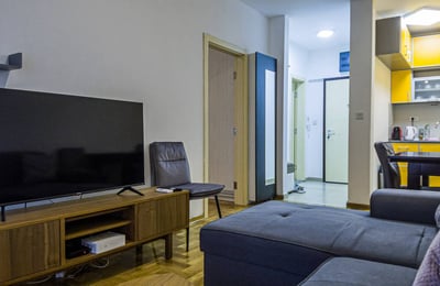 Location d’un appartement meublé de 2 pièces, 42 m², en centre-ville, Belgrade, Serbie