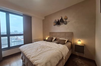 Alquiler de un apartamento de 2 habitaciones, 54 m², en el complejo residencial premium BW Arcadia, Belgrado, Serbia