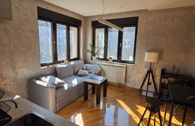 Аренда 2-комнатной квартиры 45 м² в центре города, Белград, Сербия