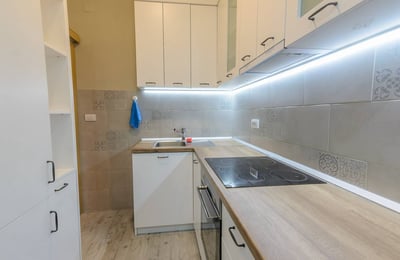 Аренда комфортной 2-комнатной квартиры 45 м² в центре города, Белград, Сербия