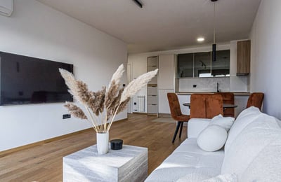 Alquiler de un apartamento absolutamente nuevo y luminoso de 2 habitaciones, 55 m², Belgrado, Serbia